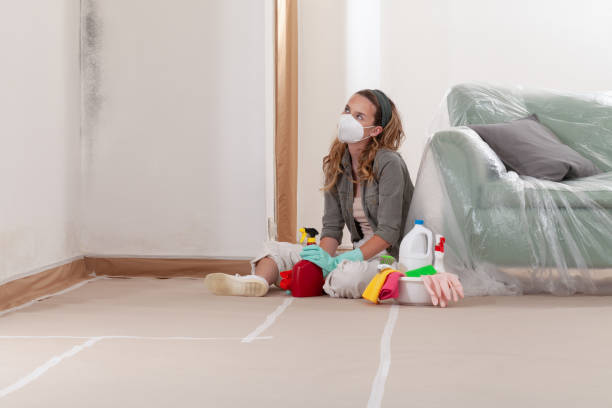 Reliable Mold Remediation contractor in Ardmore, TN by WQB Mold Removal